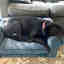 Customer photo 2 of 3