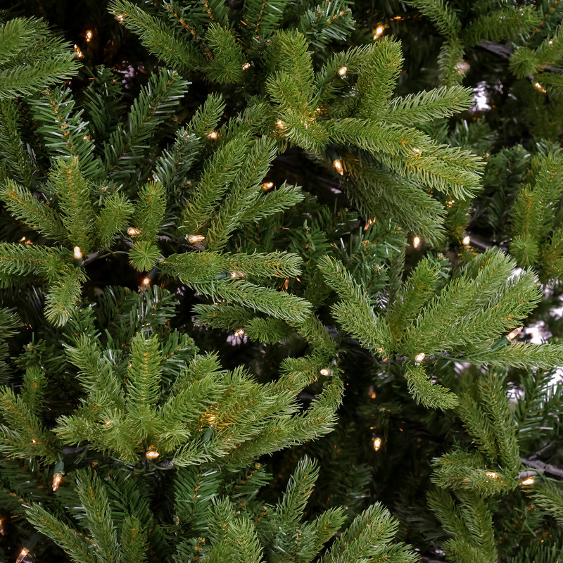 12' H Green Fir Christmas Tree with 2000 Lights