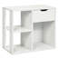 Armi End Table with Storage