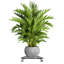 Support pour plante Quintavia-456435576-456435579