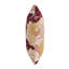  Taie d'oreiller en palmier Protea-973030239-973030236