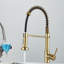 Belfry Kitchen Dejean Kitchen Faucet