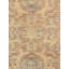 Robben Oriental Area Rug in Brown