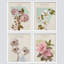 Affiche «State Flower Collage Variété Nature Wilderness Cosy / Relax Illustration Modern Art»-90691789-90691791