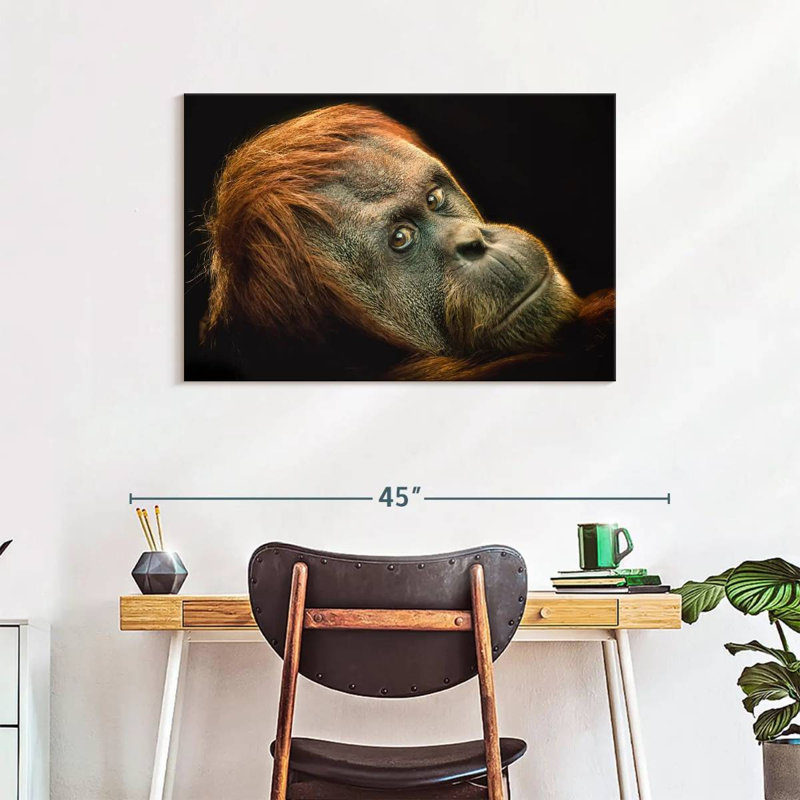 Brampt Dramatic Orangutan, 24" H x 36" W