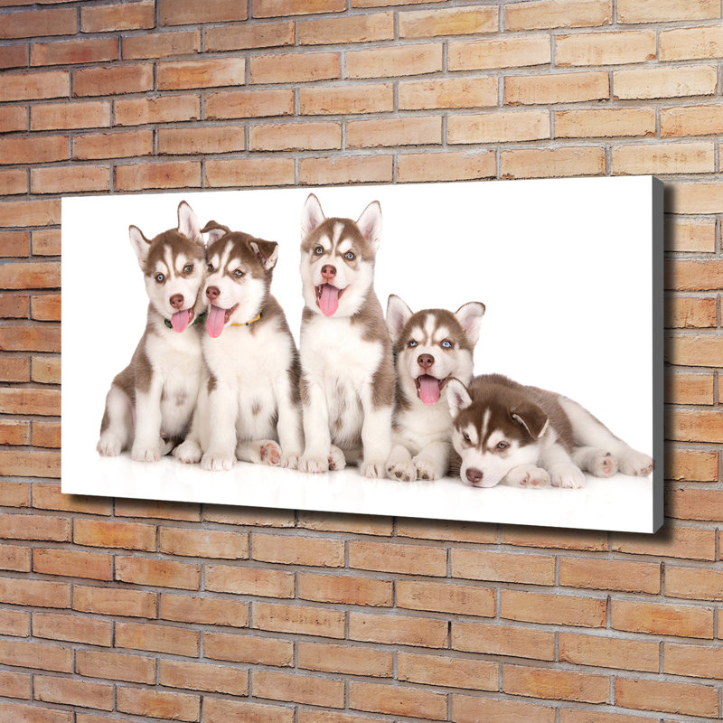 Husky Puppies - Wrapped Canvas Print