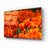 " Tulips Forever " by Jonathan Ross-247267796