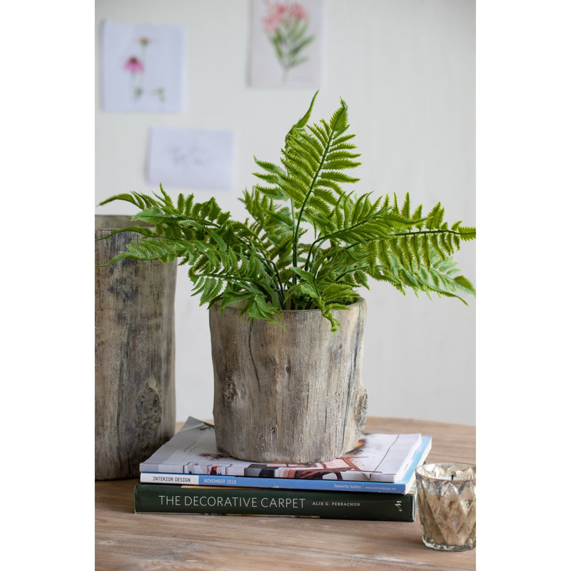 Pot à fleurs durable style rustique Fillmore pour une élégance intérieure / extérieure