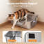 Litter Box