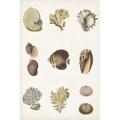 Antique Coastal Chart I - Graphic Art