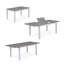 Farin 6 - Person Patio Dining Set with Extendable Rectangular Table
