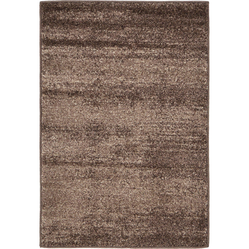 Dejourn Area Rug, Rectangle 66 x 91cm