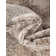 Cantey Oriental Indoor Rug