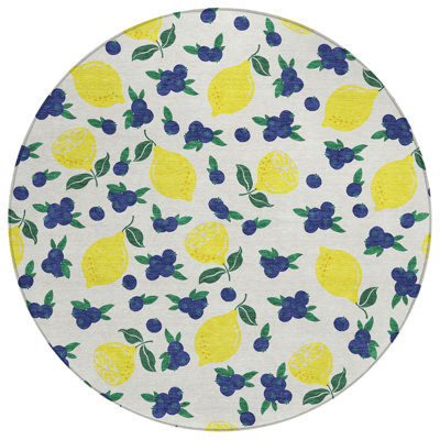 Machine Washable Indoor/Outdoor Bourkelands ACN2354 Fruits Rug