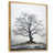 Gold Floater Frame selected