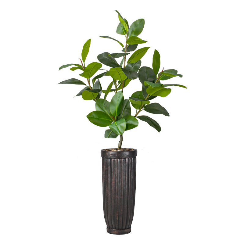 75 plantes en caoutchouc