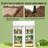 Portable Greenhouse,Spacious Mini Greenhouse-126022397