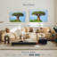 Baobab africain