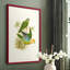 «Lime & Cerulean Parrots I», reproduction encadrée - bois massif-2069873836-2069873825