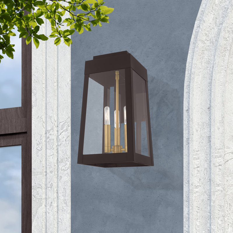 Antionetta Solid Brass Wall Light, 16" H x 8.25" W x 9.25" D, Bronze