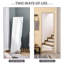 Demetrias Metal Rectangle Mirror