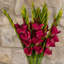 Leaf Design Large Artificial Gladioli Stems 115cm Faux Plant-114785208-114785210