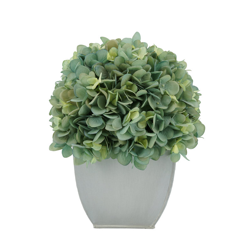 Arrangements floraux d'hortensias en pot, Bleu sarcelle