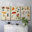 " Mushroom Species VI " 3 - Pieces-91891301-91891302
