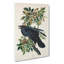 Raven by John Audubon - Wrapped Canvas-55322629