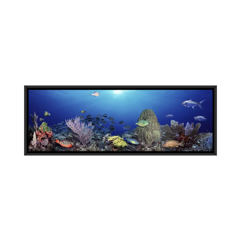 " School Of Fish Swimming In The Sea ", 24" H x 72" W x 1.5" D, Black Framed
