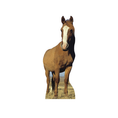 Animals 72'' Animals Cardboard Standup