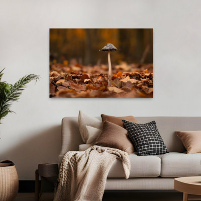 Forêt d'automne, champignons, bio, abstrait, paisible, affiche murale
