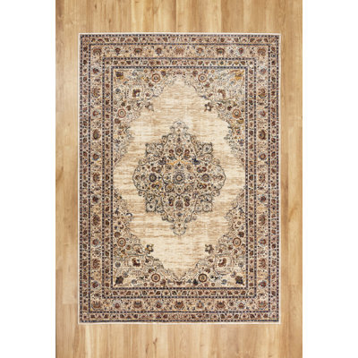 Oriental Area Rug