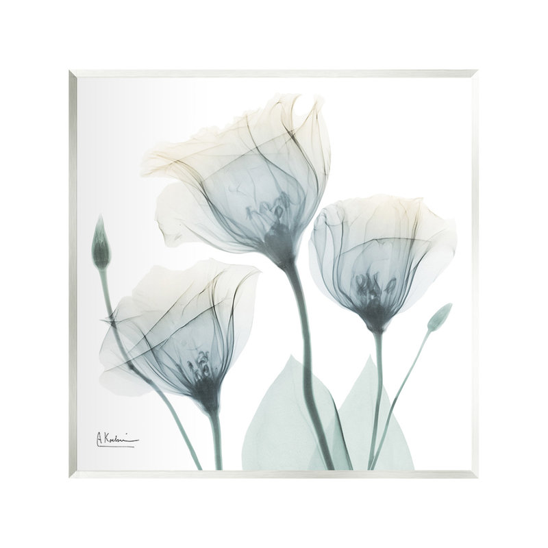 «Soft Soft Opaque Tulips» par Albert Koetsier
