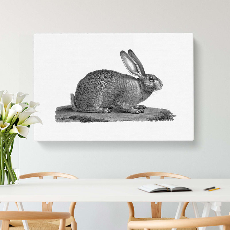 Illustration of a Hare - Wrapped Canvas, 35cm H x 50cm W x 3cm D