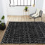Tapis noir / ivoire Kateshia-1915048251