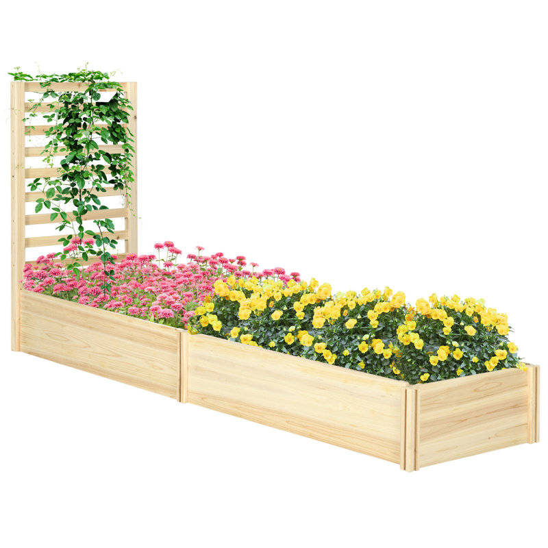 43 Inch Wooden Raised Garden Bed With Trellis, Suited To Outdoor Plants, Veggies, Flowers, Herbs, Easy Assembly Technique, Natural Tone Process, Tint