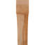 Attelle de genou Westlake-31230611-31230173-29310046
