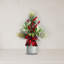 Arrangement de baies et de pin