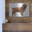«Cocker Spaniel» par Harro Maass-1904231842