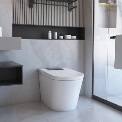 SEEWIN  Bidet Toilet With Heated Seat, Motion Sensor Flush, Smart Temperature Control Dryer and more