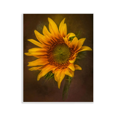«Curling Petals» par Kelley Parker