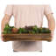 Plante grasse artificielle 2,5 po en pot