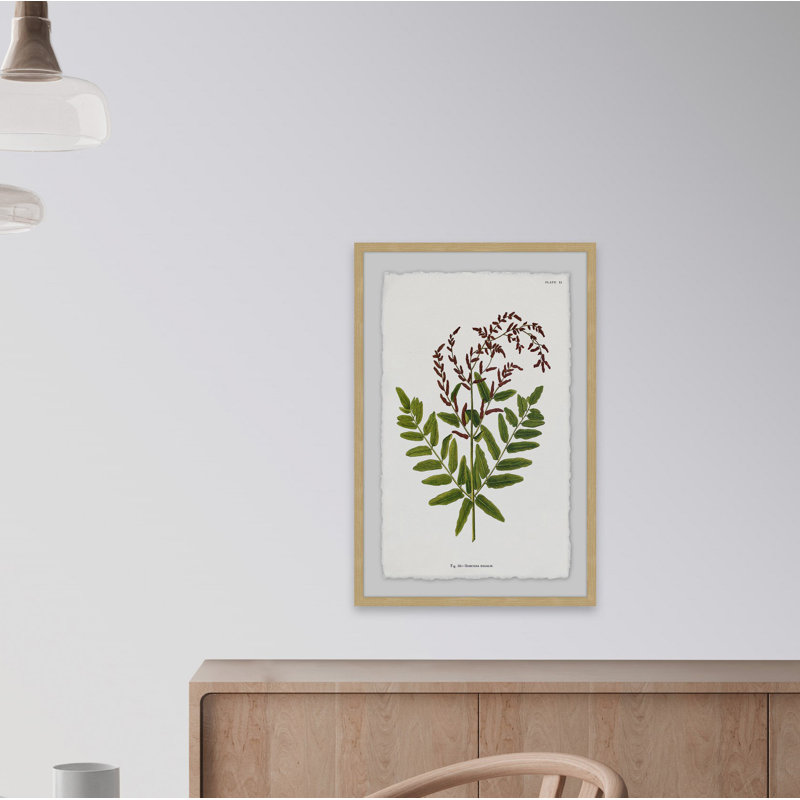 Sympathy Ferns - Single Picture Frame Print, 30 cm H x 20 cm W
