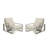 Chetan Indoor/Outdoor Aluminum Lounge Chairs-106409947-106409948