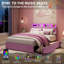 Grand / double / simple lit en velours avec tête de lit réglable et rangement à 2 tiroirs avec plateforme et sommier sans assemblage facile pour la chambre à coucher-130117374-130117376