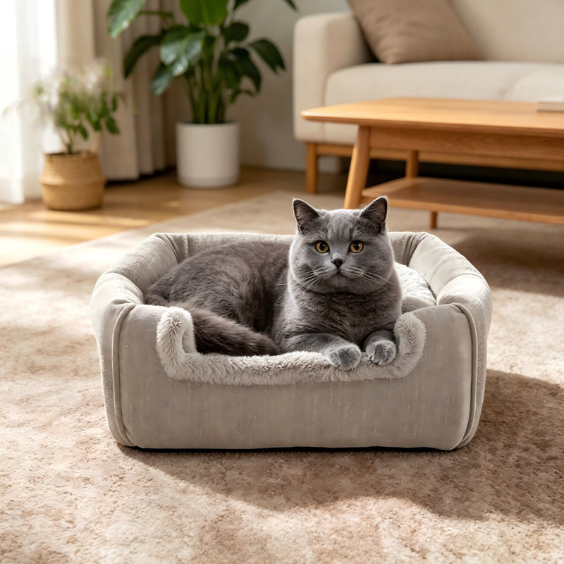 Cabine pour chat Home Home