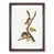 Walnut Framed selected