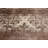 Anyce Floral Indoor Rug-1877216744