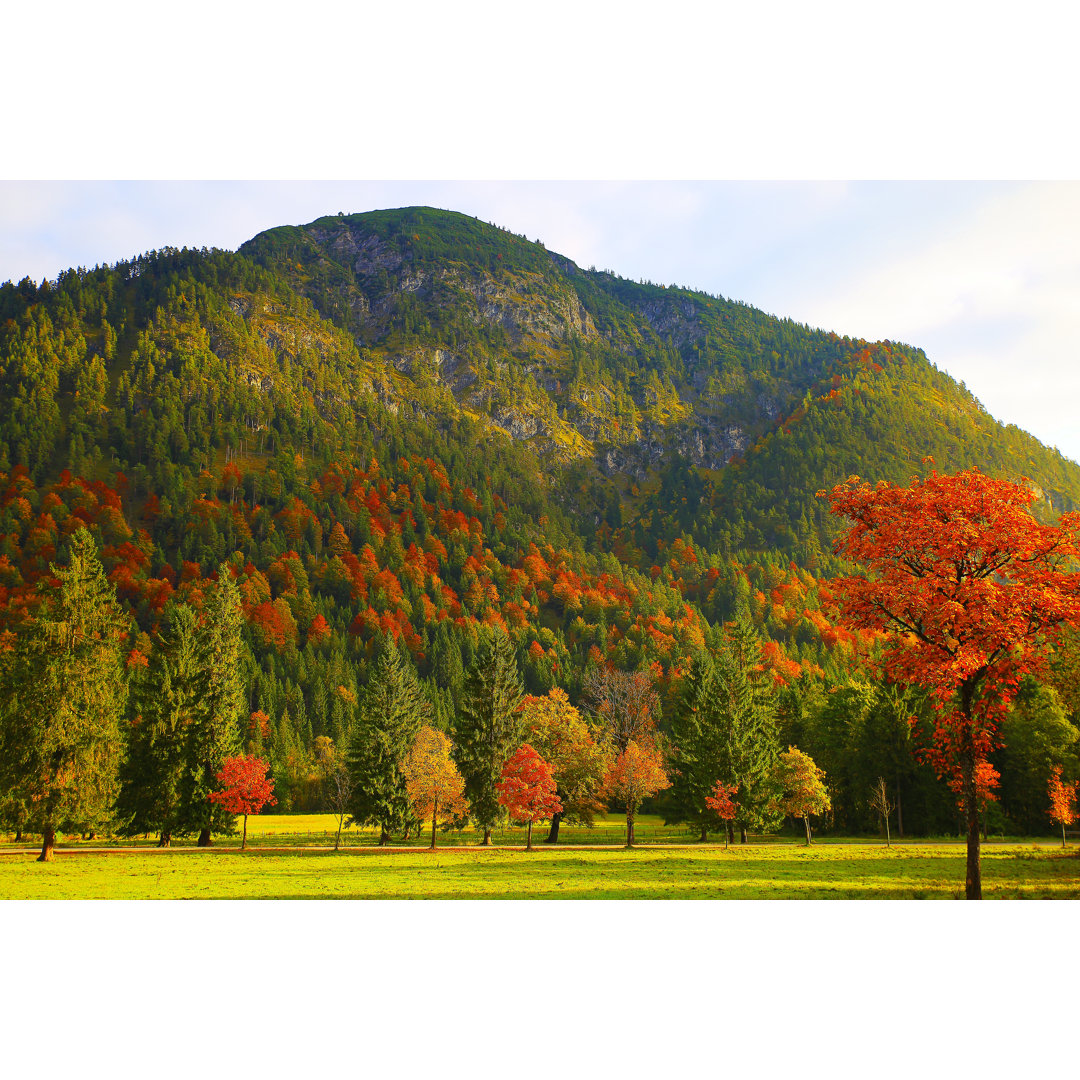 Alpenlandschaft von Agustavop - Leinwandbild